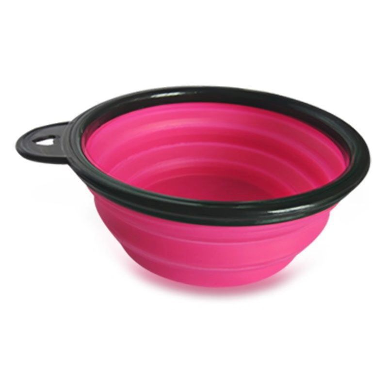 Water bottle with foldable bowl