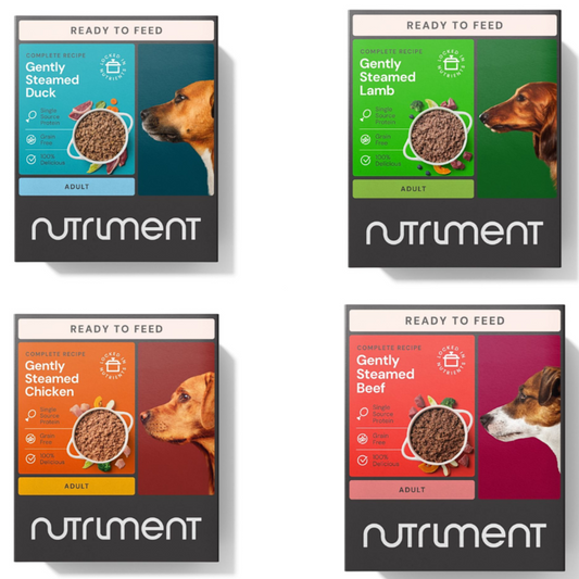 Nutriment Gently Steamed Complete Dog Food – Ambient Raw-Inspired Meals