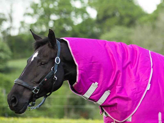 200g Mulberry Turnout Rug Neck Cover - Pet Supplier Store
