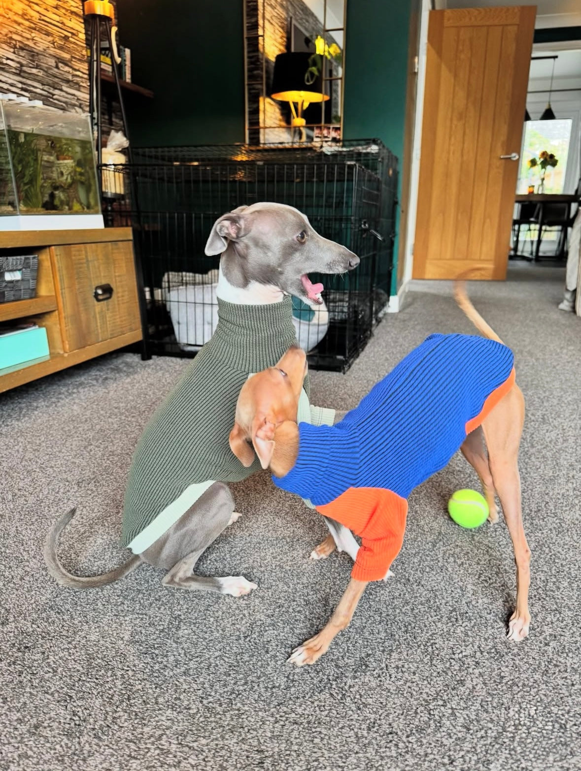 Ribbed Jersey T-Shirt - Orangina