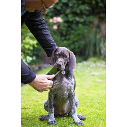 Fetch Tag – Smart Pet ID Tag with QR Code & GPS Alerts