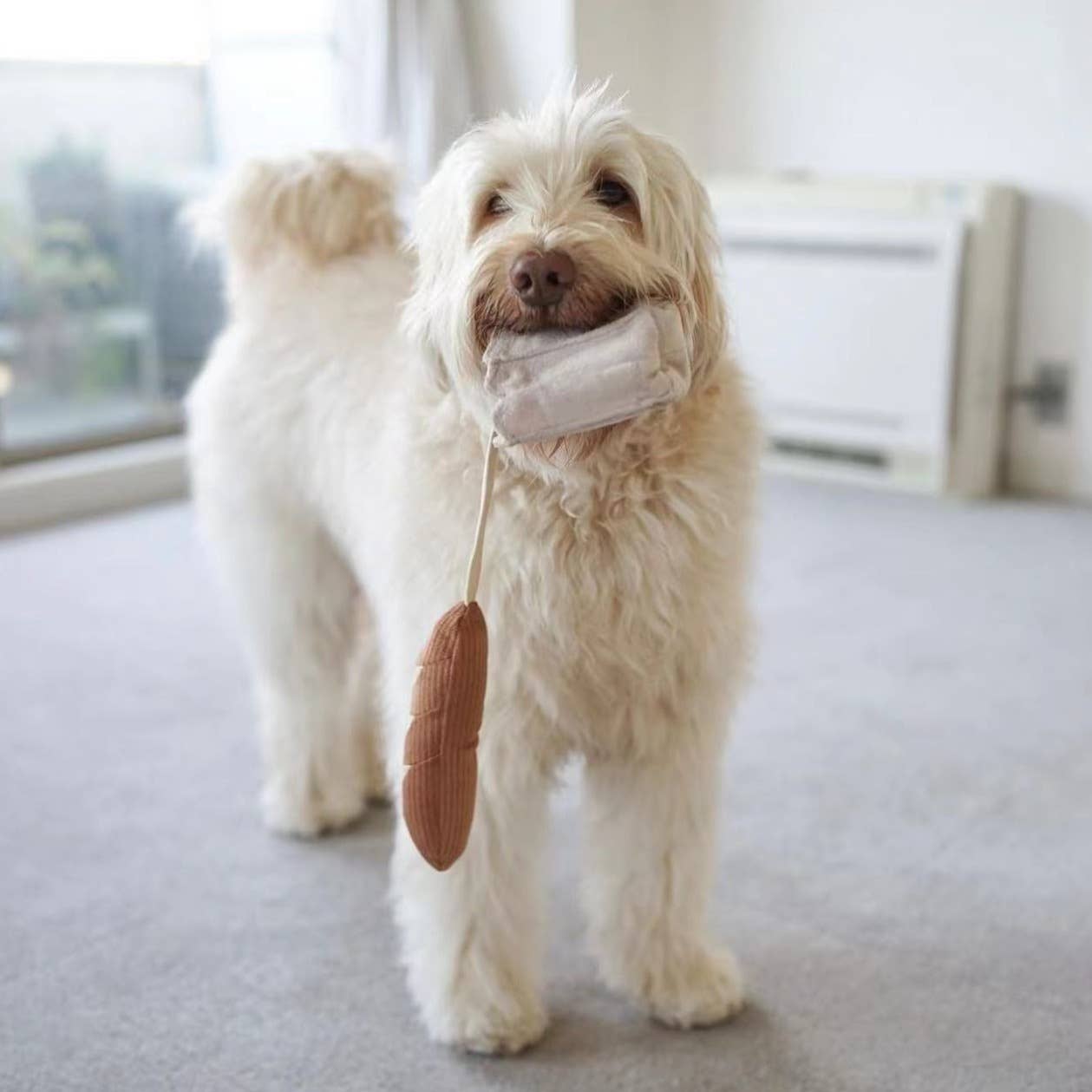 Mini Baguette enrichment dog toy