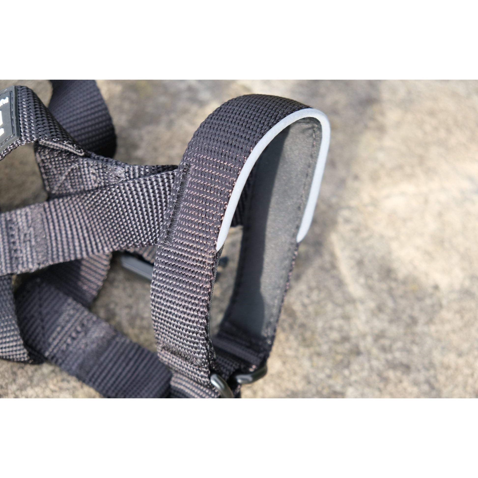 2.5cm Head Collars - Pet Supplier Store