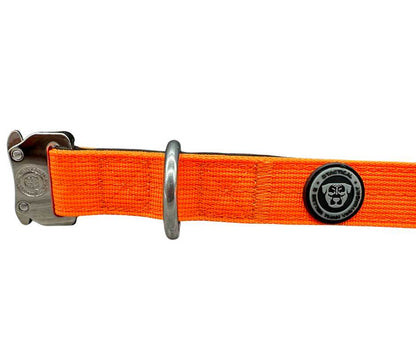 2.5cm Nylon BTactical™ Collar | Citrus Orange - Pet Supplier Store