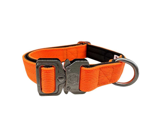 2.5cm Nylon BTactical™ Collar | Citrus Orange - Pet Supplier Store