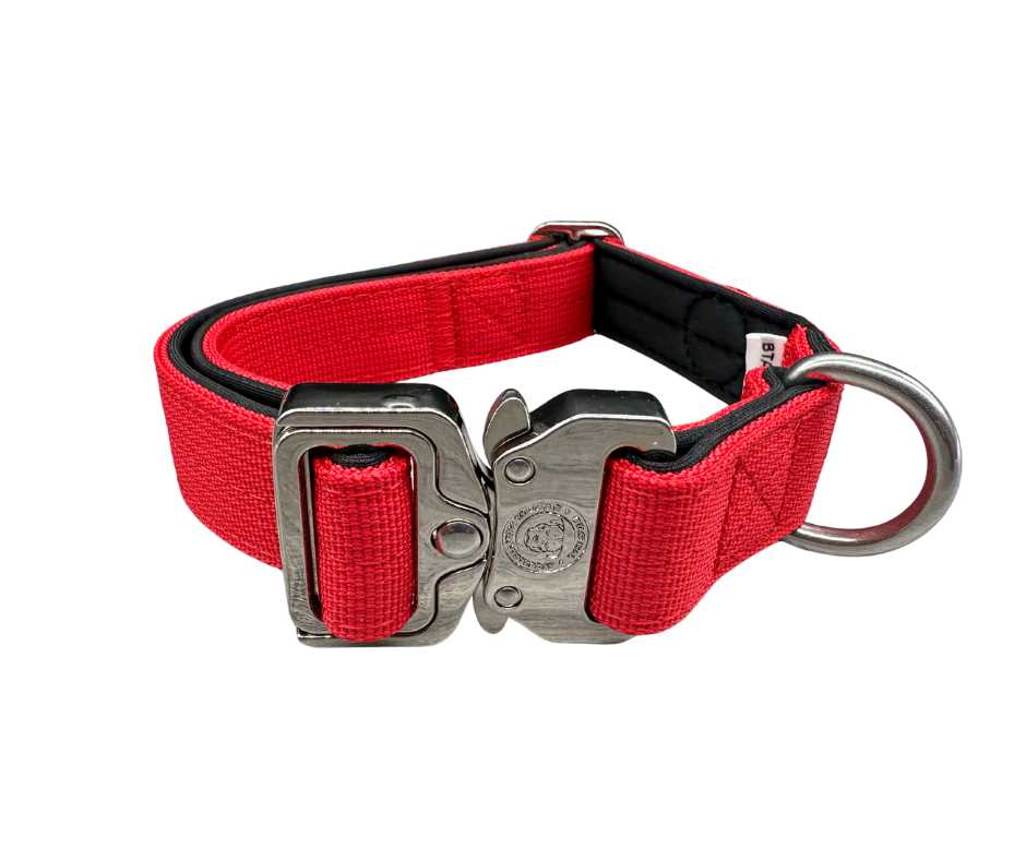 2.5cm Nylon BTactical™ Collar | Citrus Red - Pet Supplier Store