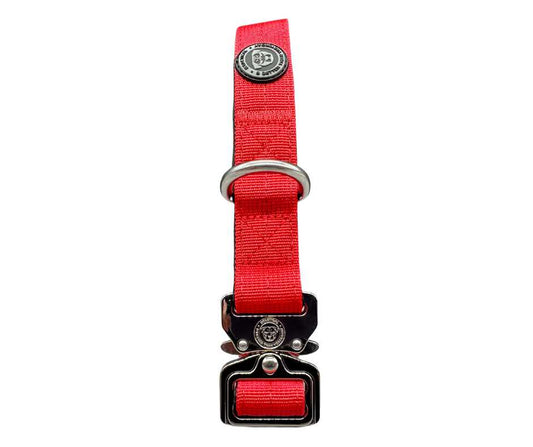 2.5cm Nylon BTactical™ Collar | Citrus Red - Pet Supplier Store