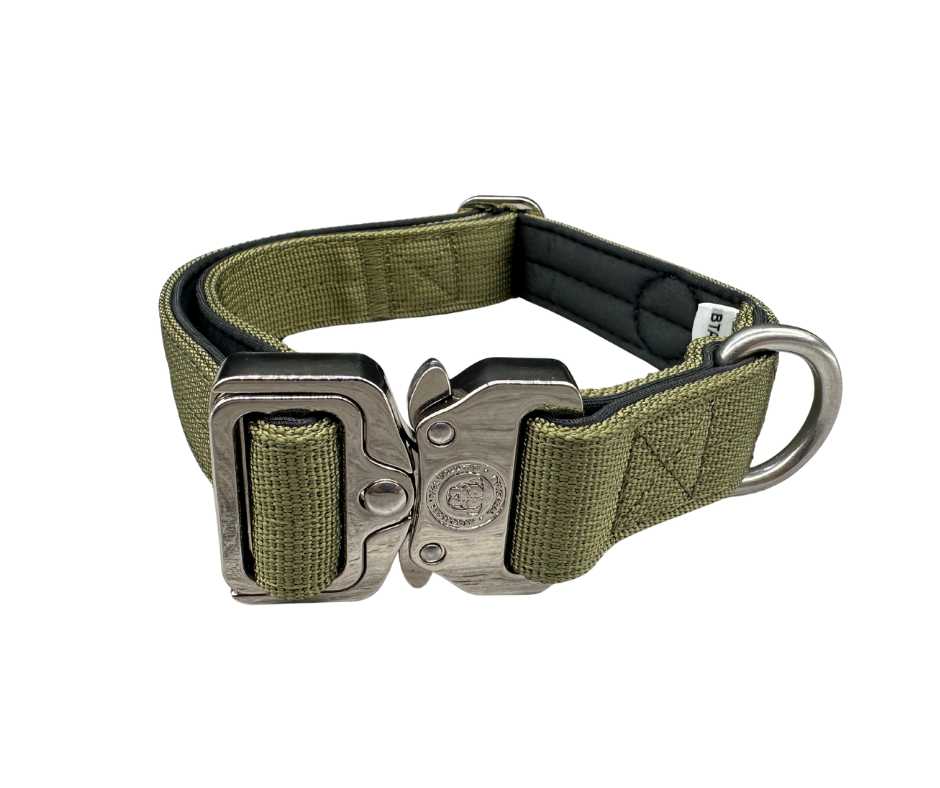 2.5cm Nylon BTactical™ Collar | Khaki Green - Pet Supplier Store