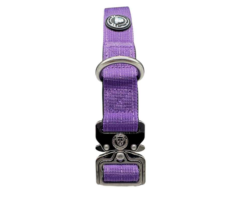 2.5cm Nylon BTactical™ Collar | Lavender Purple - Pet Supplier Store