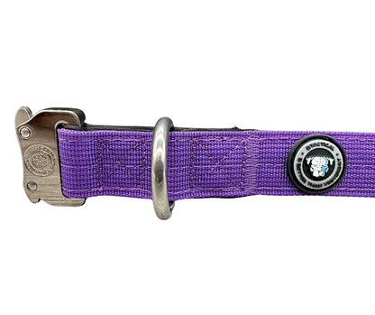 2.5cm Nylon BTactical™ Collar | Lavender Purple - Pet Supplier Store