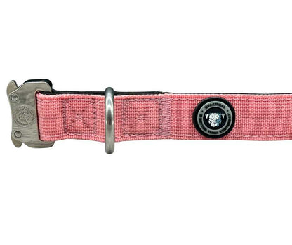 2.5cm Nylon BTactical™ Collar | Pretty Pink - Pet Supplier Store