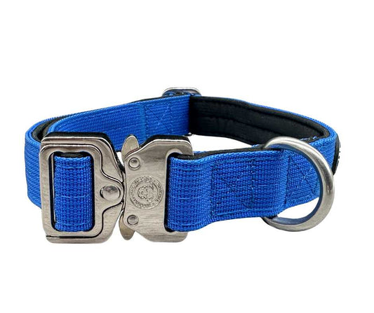 2.5cm Nylon BTactical™ Collar | Royal Blue - Pet Supplier Store