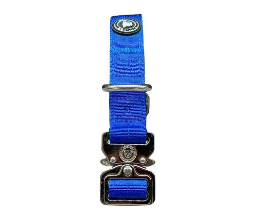 2.5cm Nylon BTactical™ Collar | Royal Blue - Pet Supplier Store