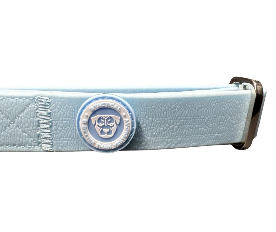2.5cm PVC BTactical™ Collar | Pastel Blue - Pet Supplier Store