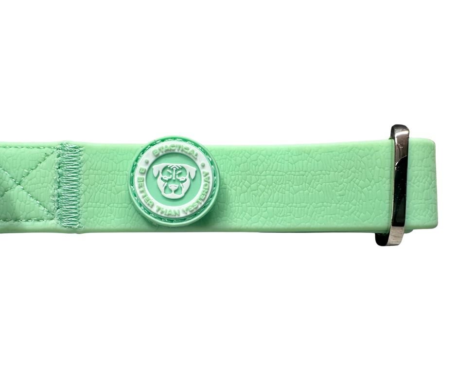 2.5cm PVC BTactical™ Collar | Pastel Green - Pet Supplier Store