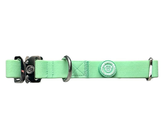 2.5cm PVC BTactical™ Collar | Pastel Green - Pet Supplier Store
