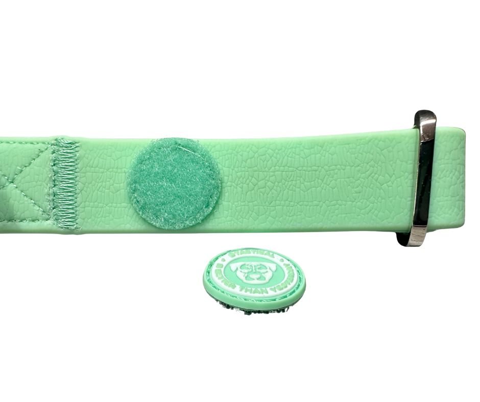 2.5cm PVC BTactical™ Collar | Pastel Green - Pet Supplier Store