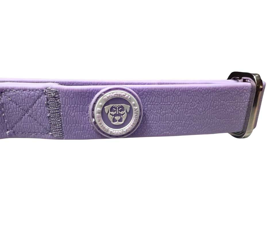2.5cm PVC BTactical™ Collar | Pastel Purple - Pet Supplier Store