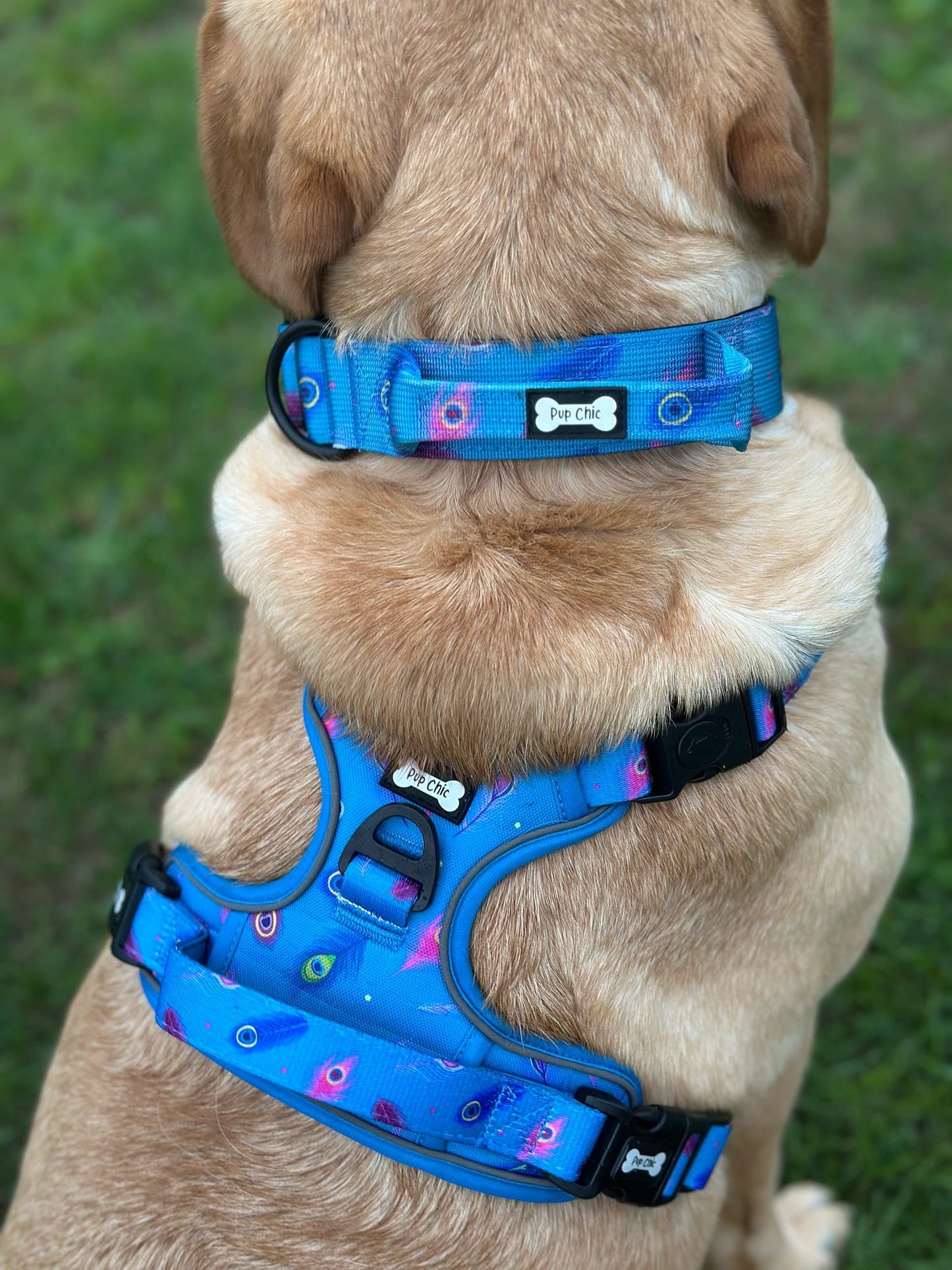 Power Peacock Tactical Dog Harness – No Pull & Fully Adjustable