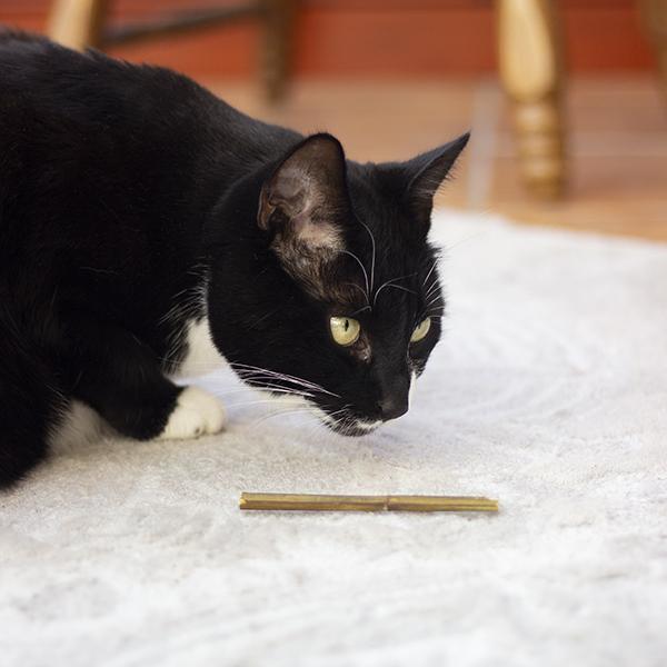 Naturals for Cat – 100% Natural Catnip Sticks