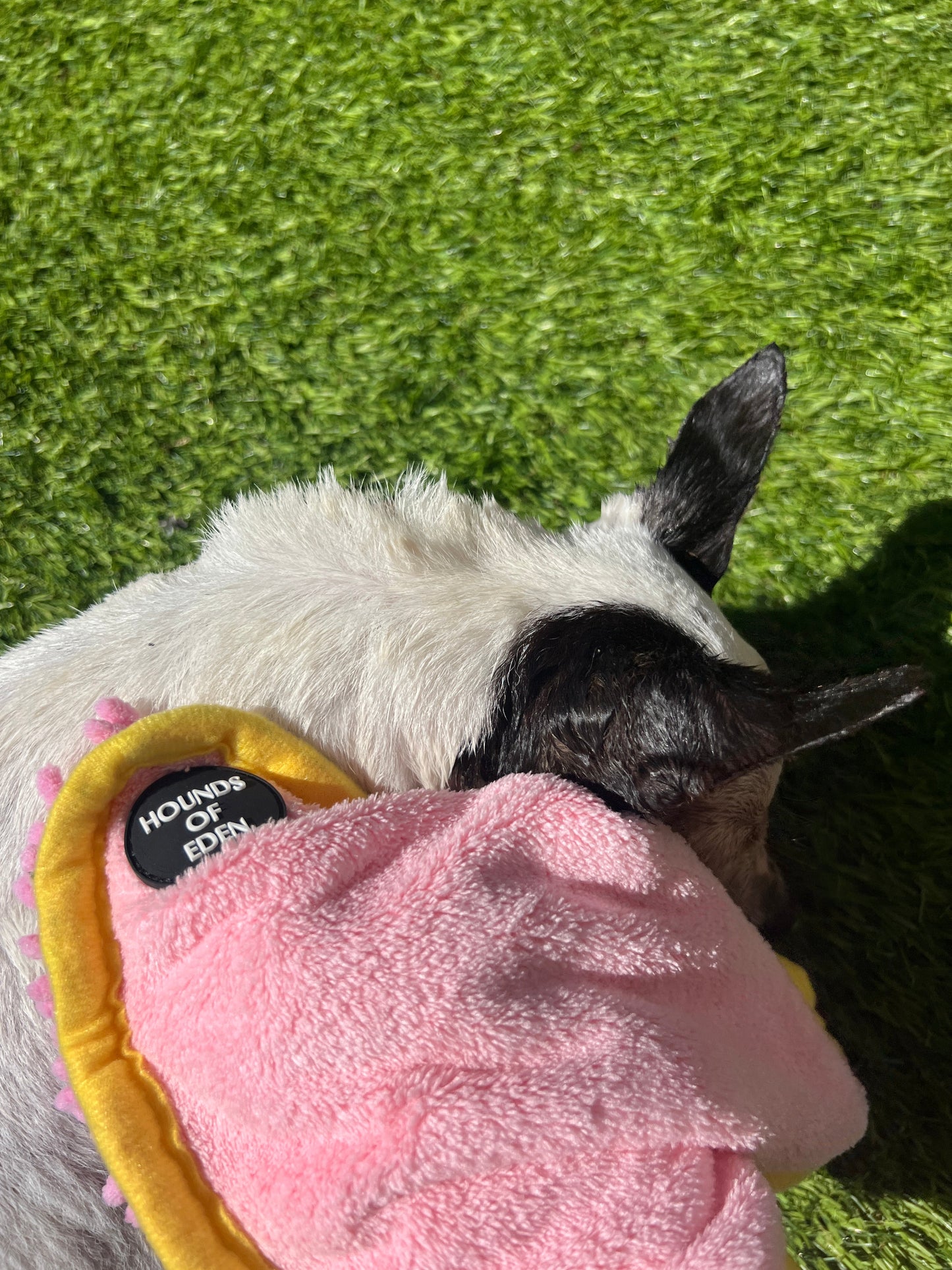 Mini Dog Towel + Clip, Yellow & Brown