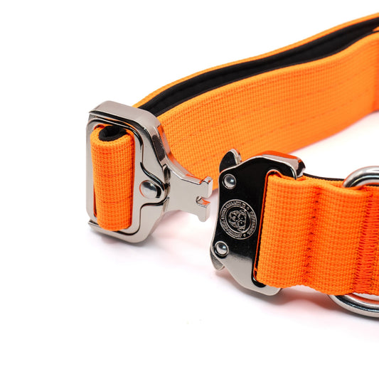 4cm Nylon BTactical™ Collar | Citrus Orange - Pet Supplier Store