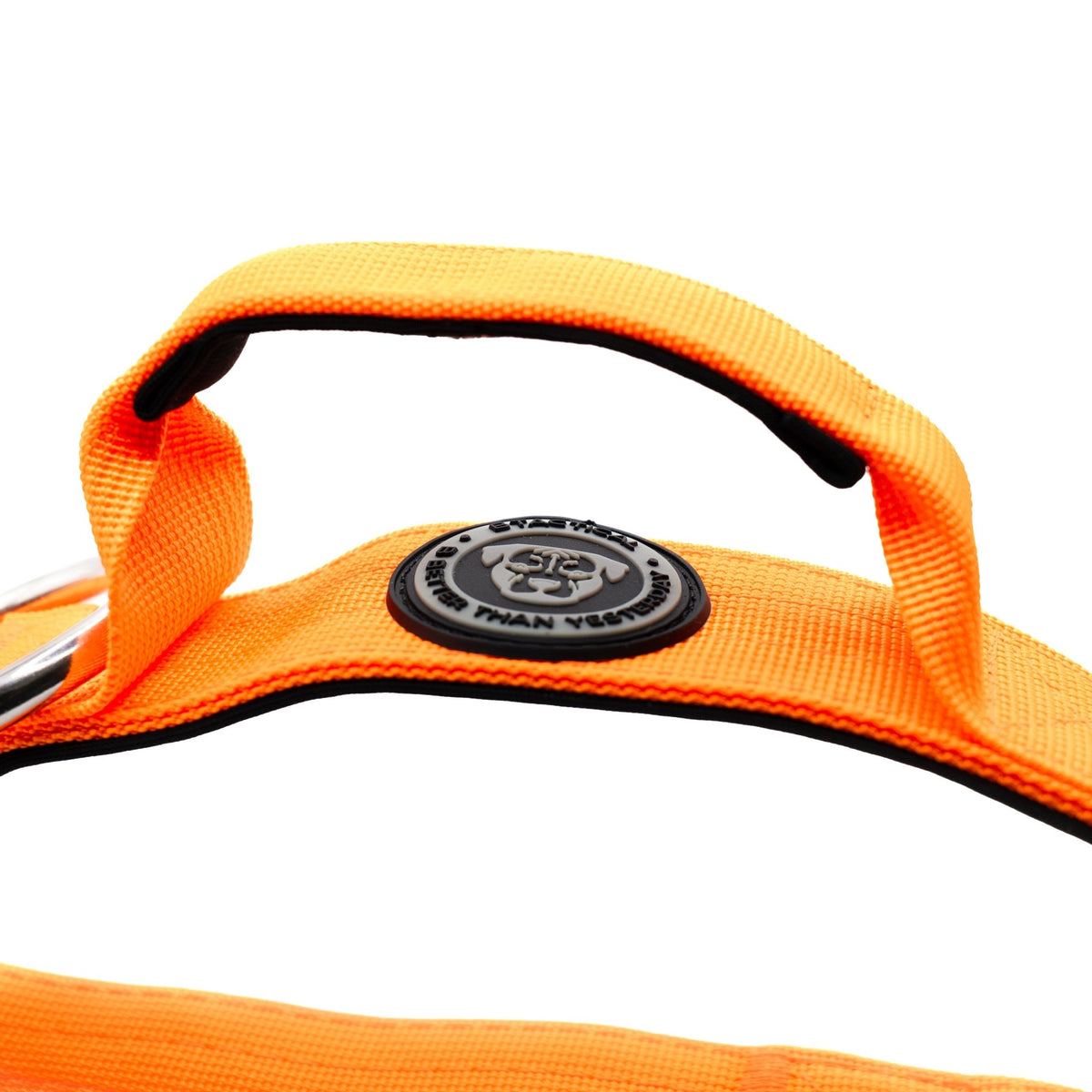 4cm Nylon BTactical™ Collar | Citrus Orange - Pet Supplier Store