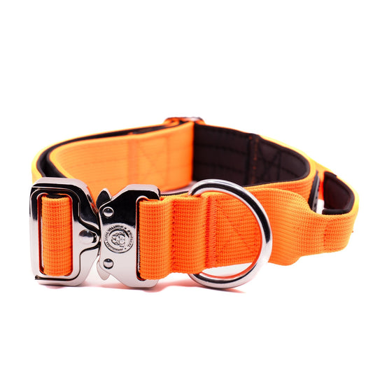 4cm Nylon BTactical™ Collar | Citrus Orange - Pet Supplier Store