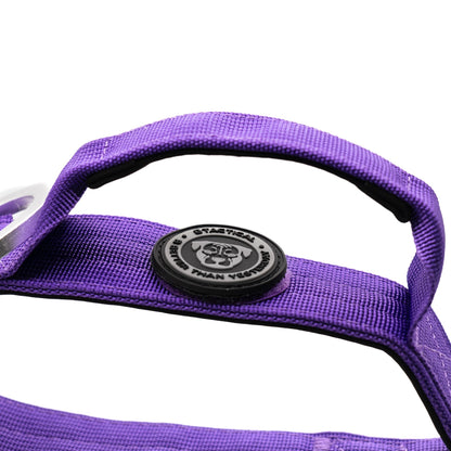 4cm Nylon BTactical™ Collar | Lavender Purple - Pet Supplier Store