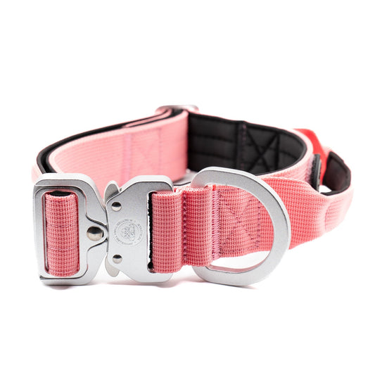 4cm Nylon BTactical™ Collar | Pretty Pink - Pet Supplier Store