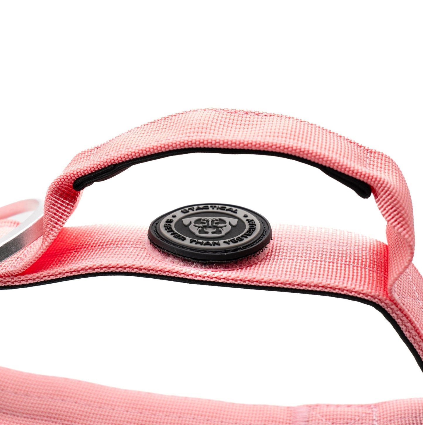 4cm Nylon BTactical™ Collar | Pretty Pink - NEW - Pet Supplier Store