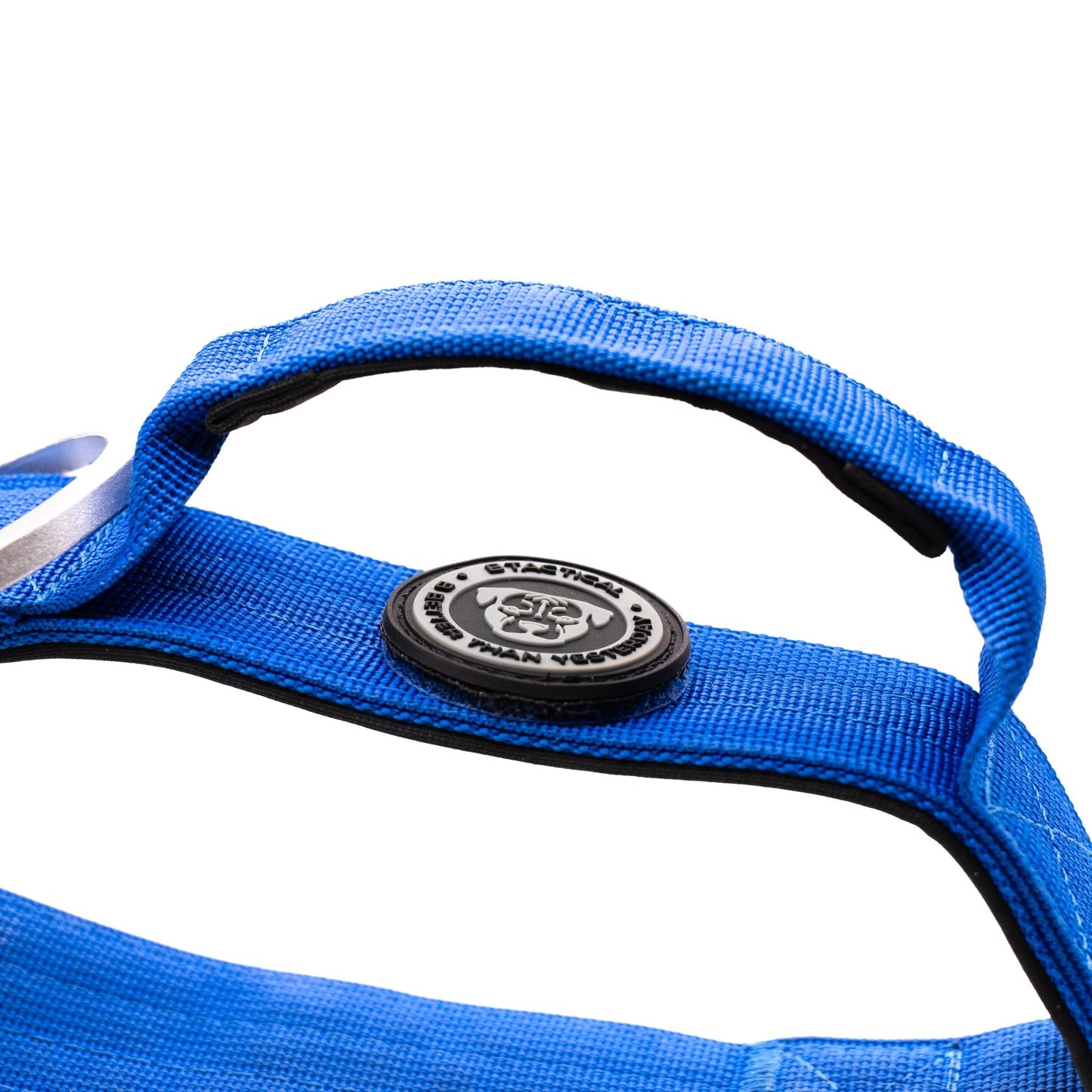 4cm Nylon BTactical™ Collar | Royal Blue - Pet Supplier Store