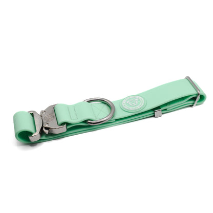 4cm PVC BTactical™ Collar | Pastel Green - Pet Supplier Store