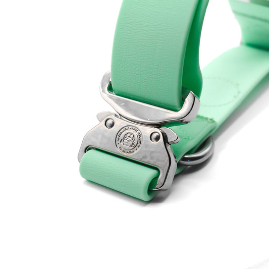 4cm PVC BTactical™ Collar | Pastel Green - Pet Supplier Store