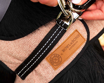Soho Poms x Bowl & Bone Republic Mayfair Harness - Salmon