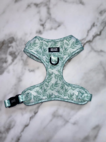 Willow Wanders Harness