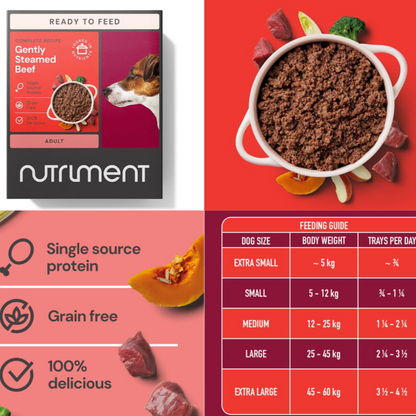 Nutriment Gently Steamed Complete Dog Food – Ambient Raw-Inspired Meals