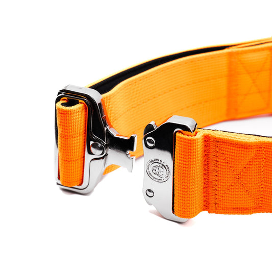5cm Nylon BTactical™ Collar | Citrus Orange - Pet Supplier Store