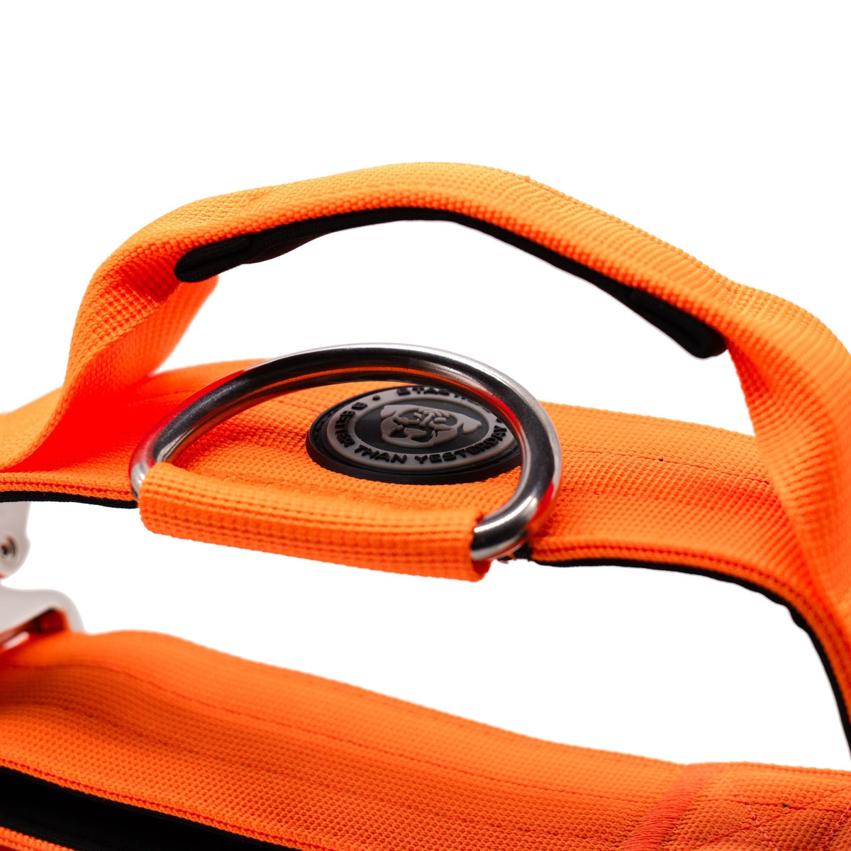 5cm Nylon BTactical™ Collar | Citrus Orange - Pet Supplier Store