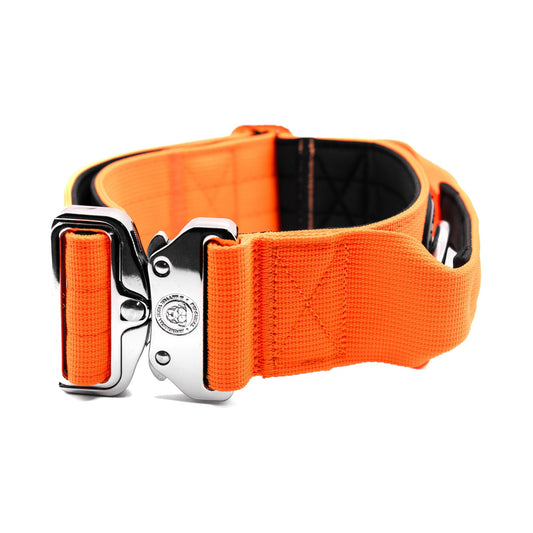 5cm Nylon BTactical™ Collar | Citrus Orange - Pet Supplier Store