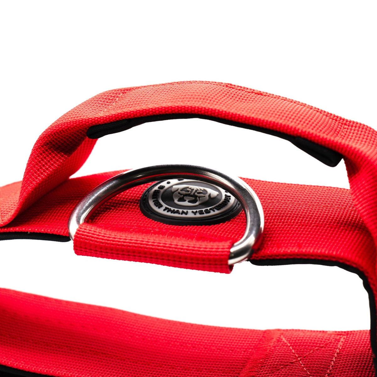 5cm Nylon BTactical™ Collar | Citrus Red - Pet Supplier Store