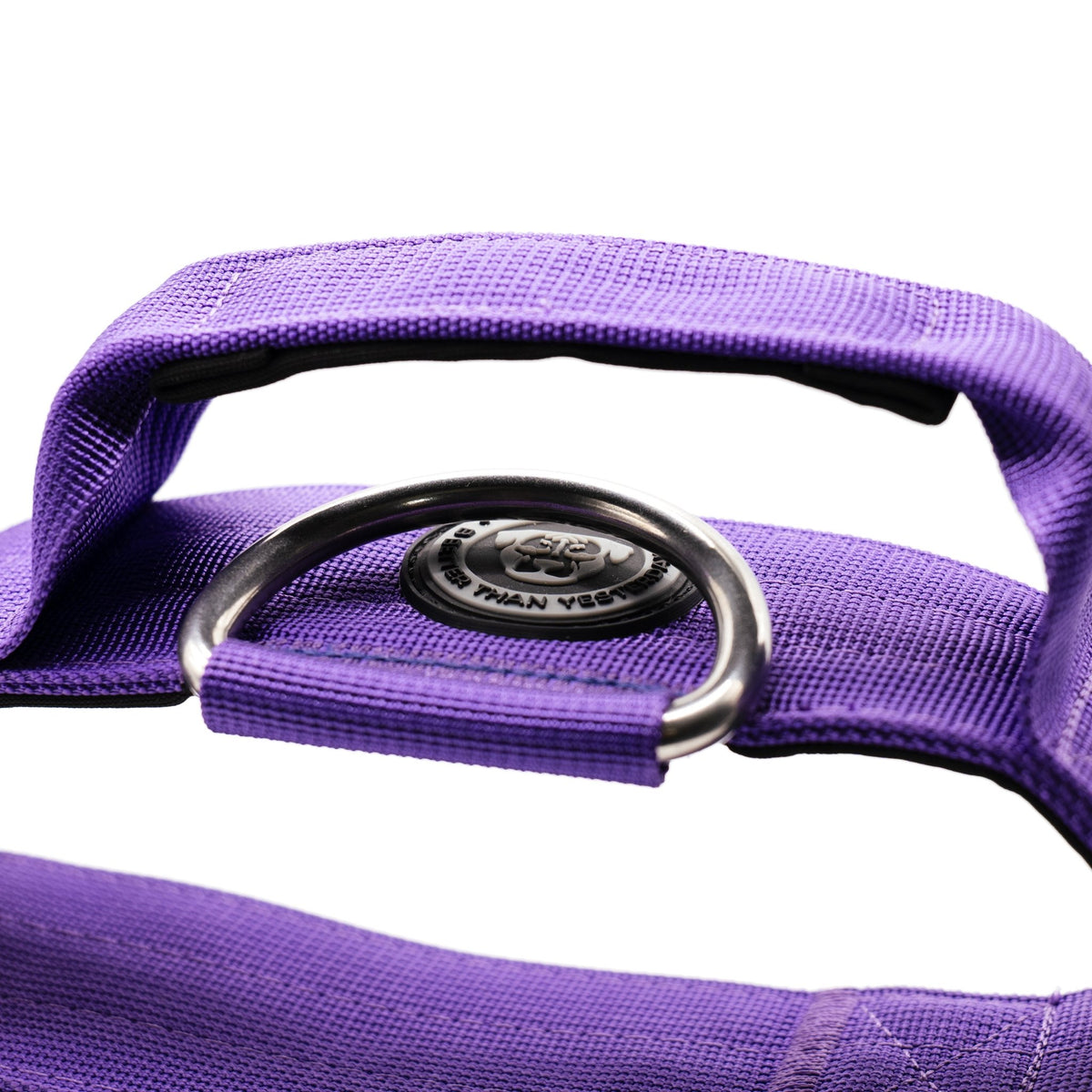 5cm Nylon BTactical™ Collar | Lavender Purple - Pet Supplier Store