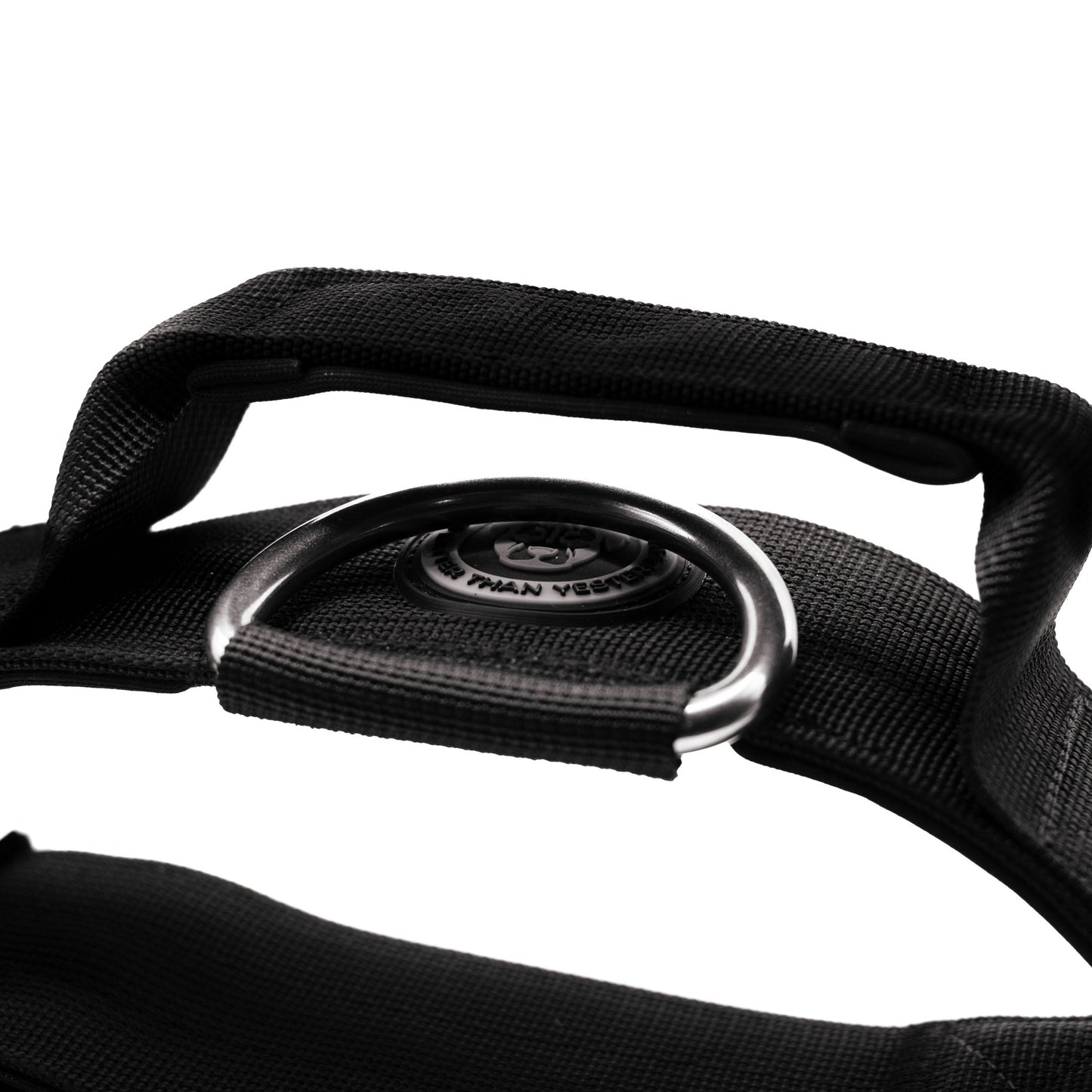 5cm Nylon BTactical™ Collar | Midnight Black - Pet Supplier Store