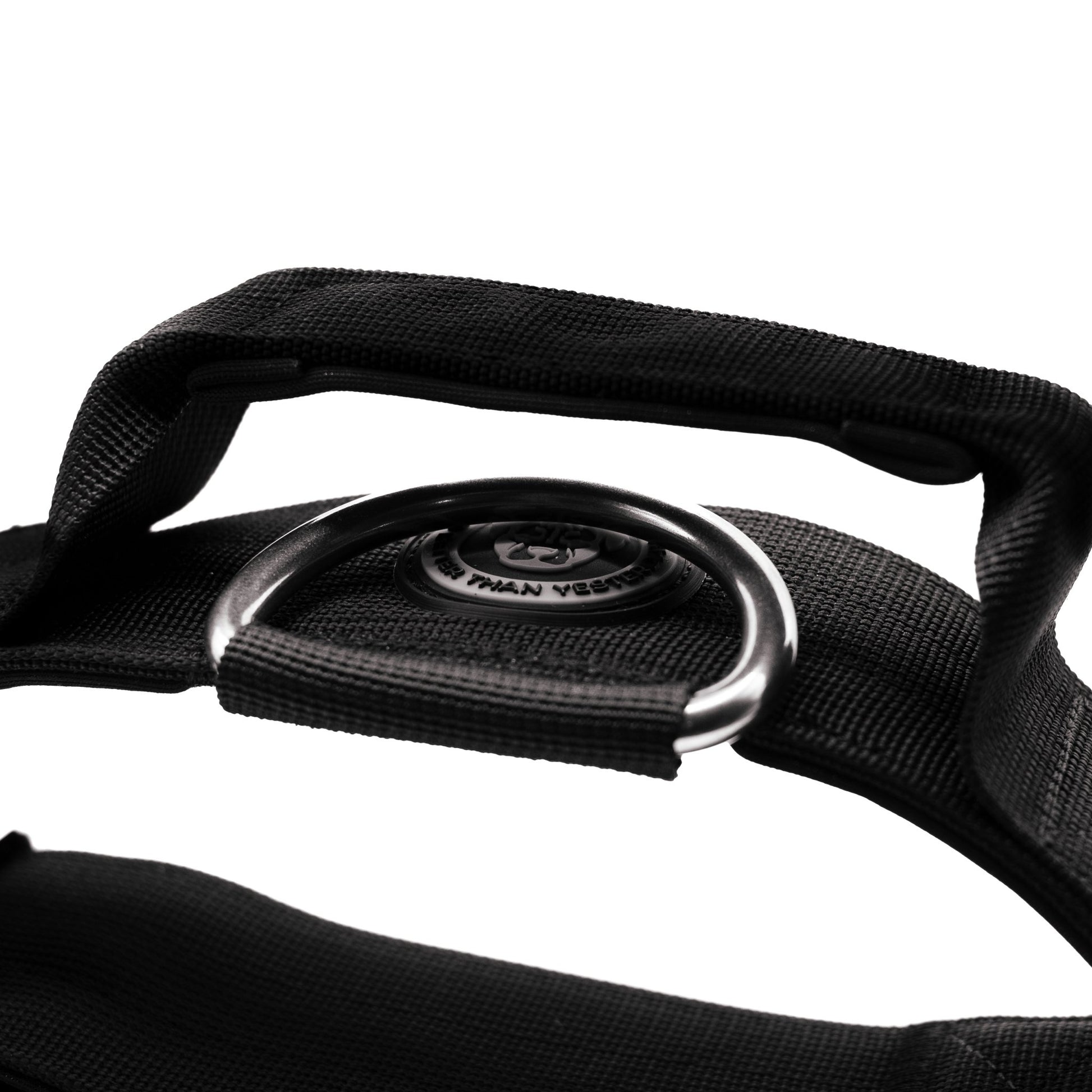 5cm Nylon BTactical™ Collar | Midnight Black - Pet Supplier Store