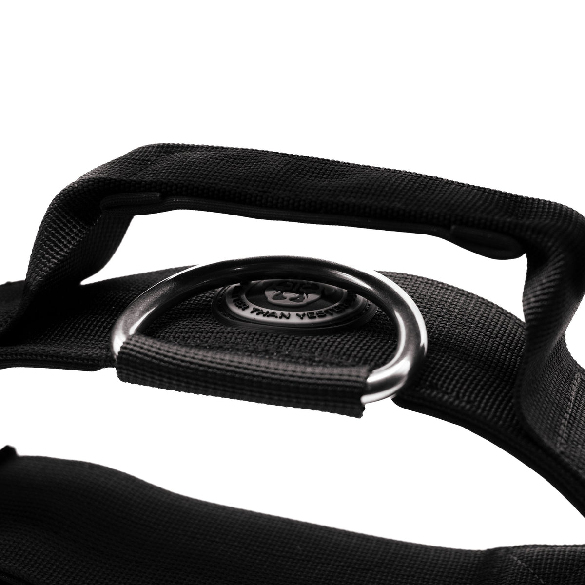 5cm Nylon BTactical™ Collar | Midnight Black - NEW - Pet Supplier Store