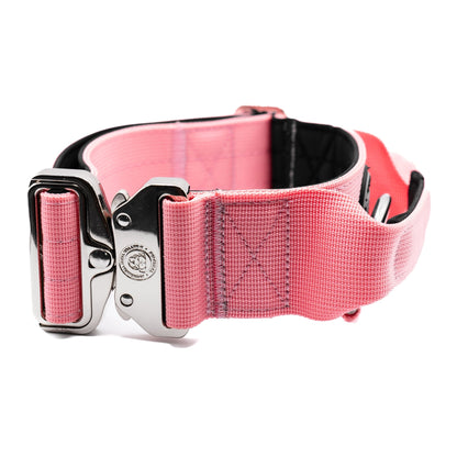5cm Nylon BTactical™ Collar | Pretty Pink - Pet Supplier Store