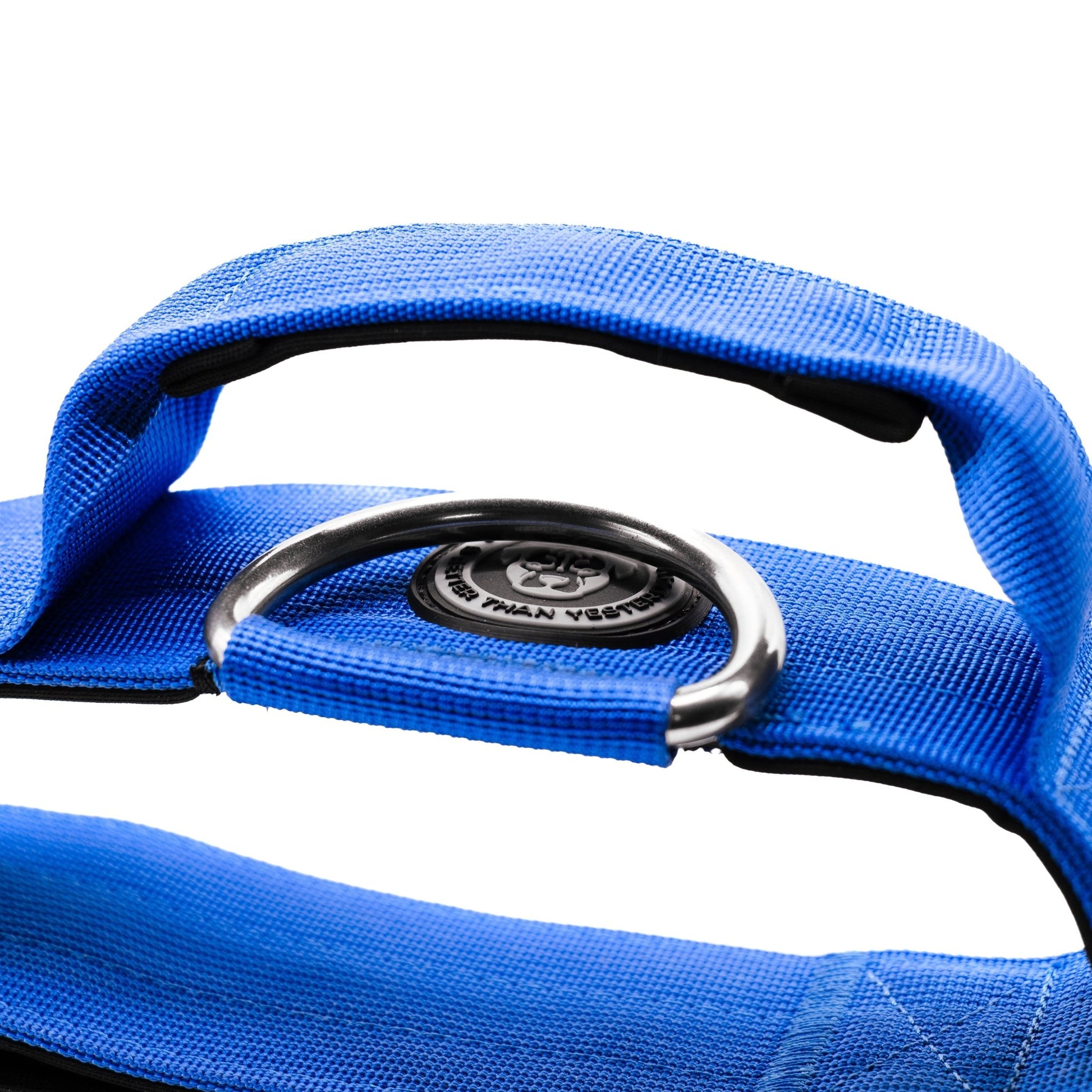 5cm Nylon BTactical™ Collar | Royal Blue - Pet Supplier Store