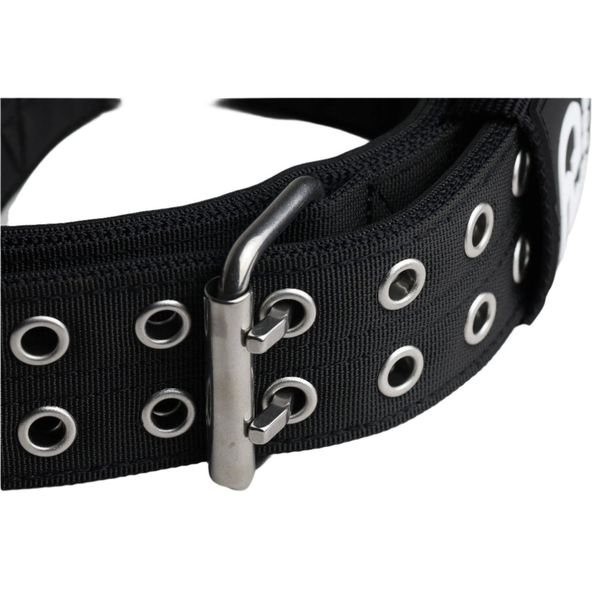 5cm Sport Collar Black - Pet Supplier Store