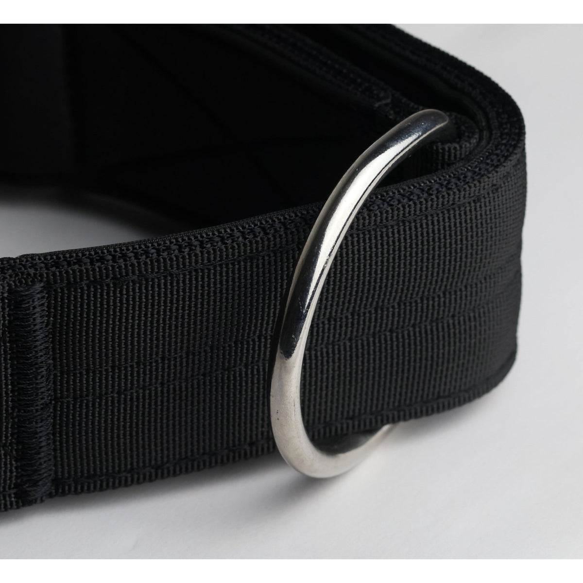 5cm Sport Collar Black - Pet Supplier Store