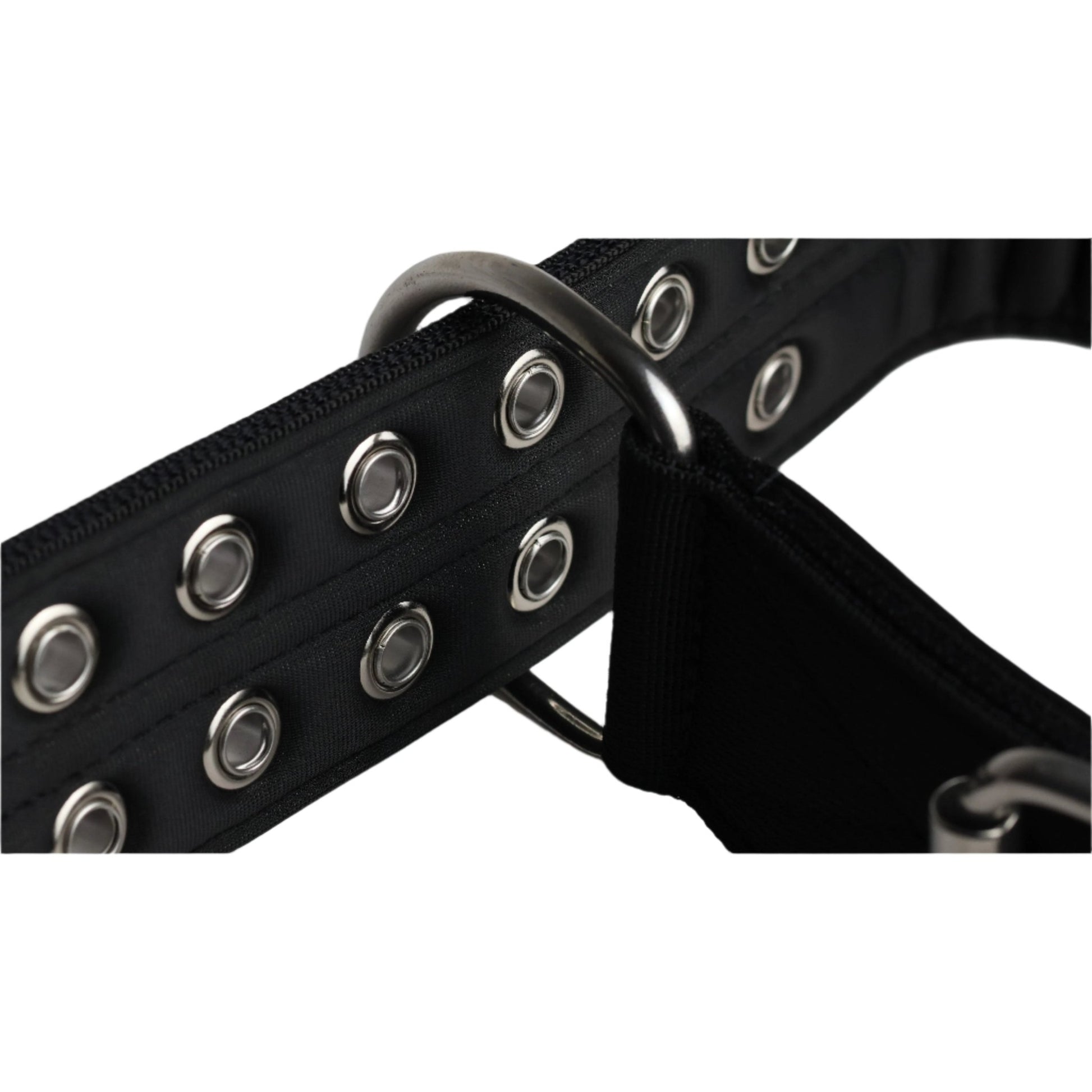 5cm Sport Collar Black - Pet Supplier Store